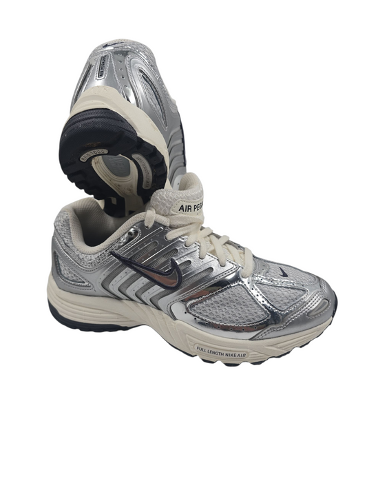 Nike Pegasus Retro 2005 Training Casual Plata / Beige No 24